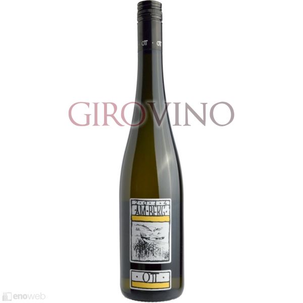 Bernhard Ott, Grüner Veltliner Am Berg 2024, 750 ml